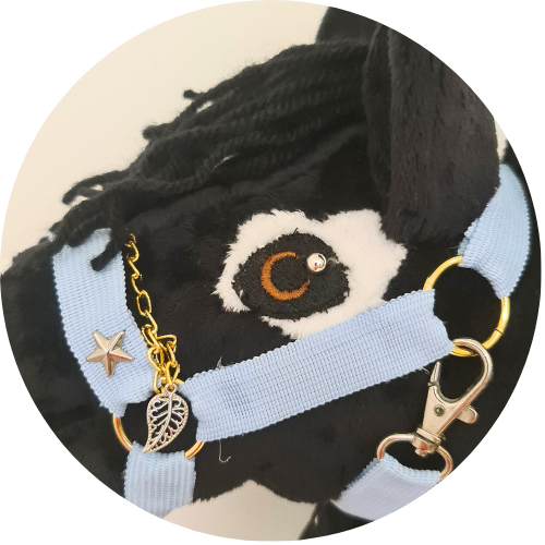 Hobby horse czarny z odmiankami A4 z kantarem - obrazek 4