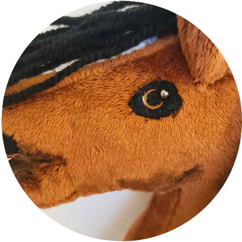 Hobby horse Brąz A5 - obrazek 8