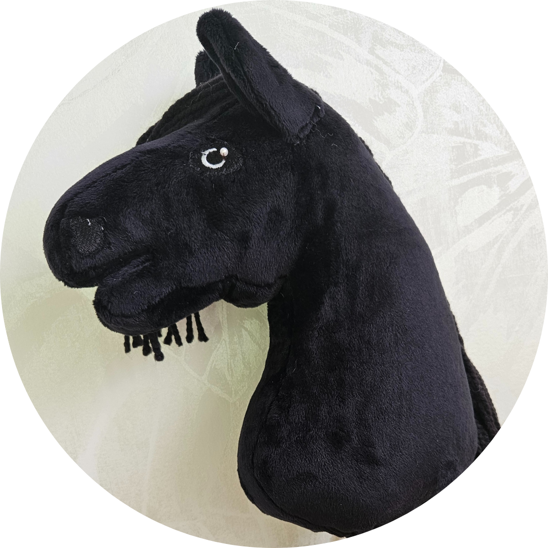 Hobby horse Kary A4 - obrazek 2