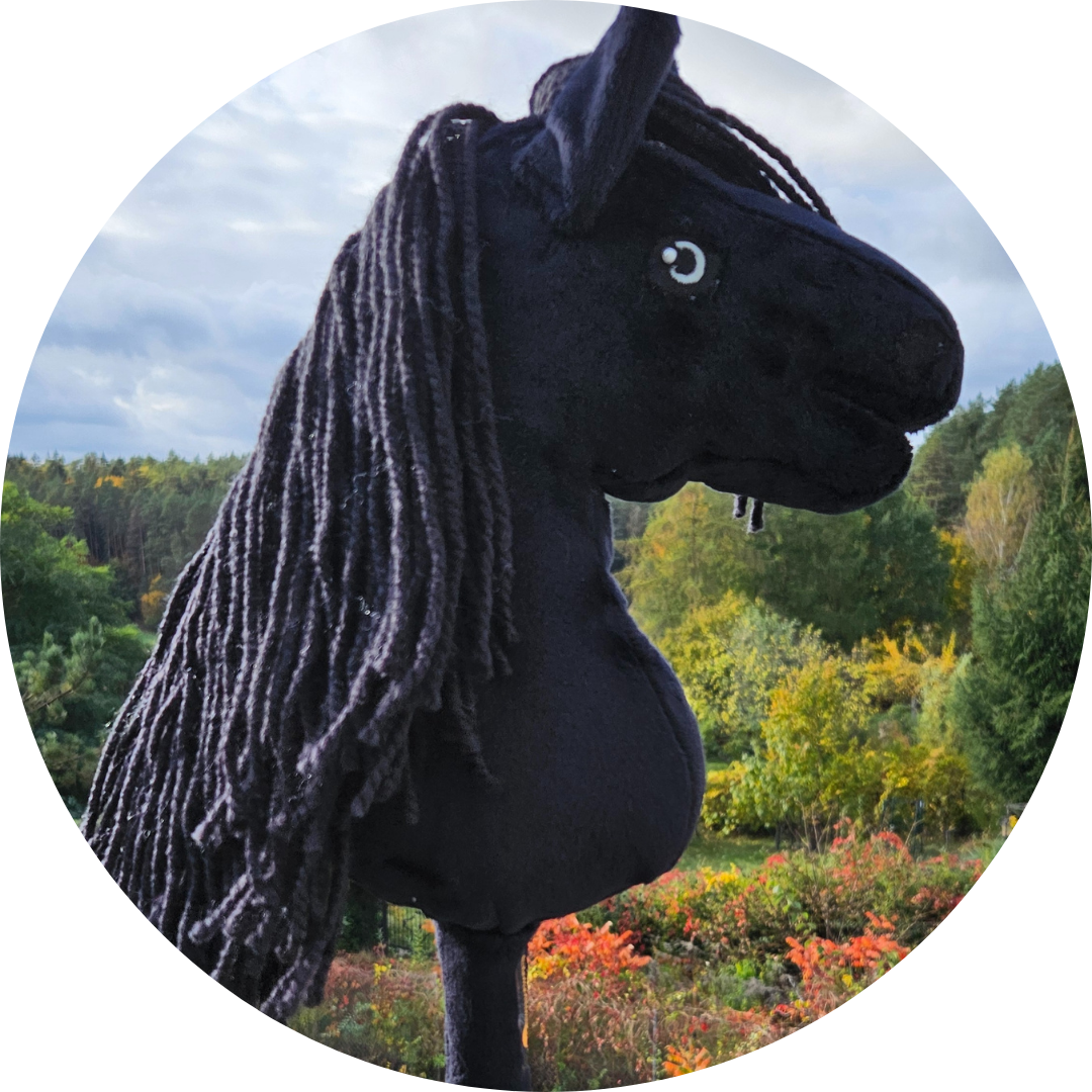 Hobby horse Kary A4 - obrazek 4