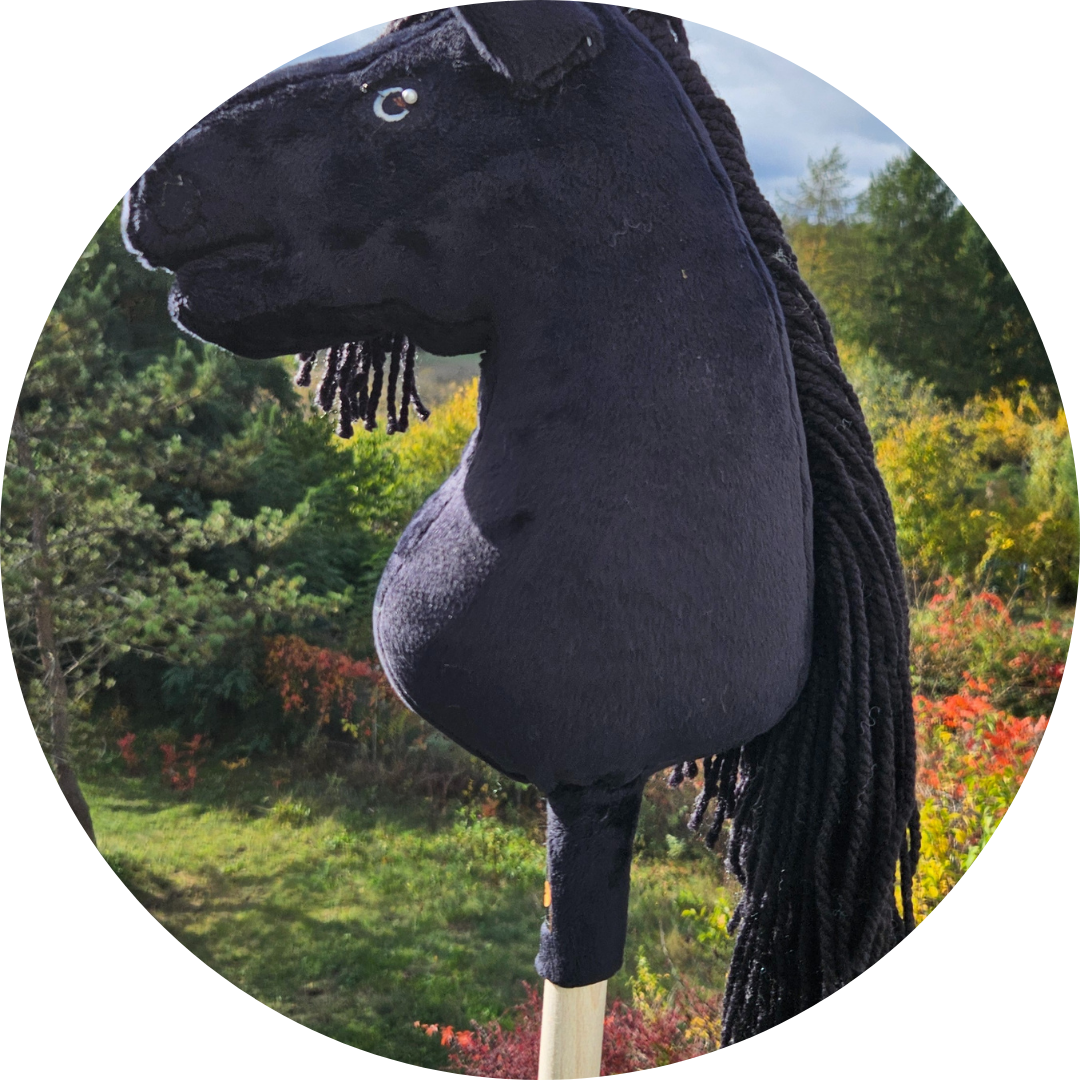 Hobby horse Kary A4 - obrazek 6