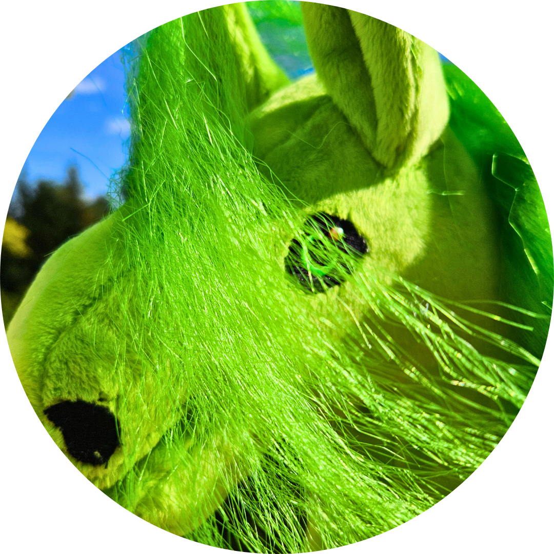 Hobby horse A4 Fiona