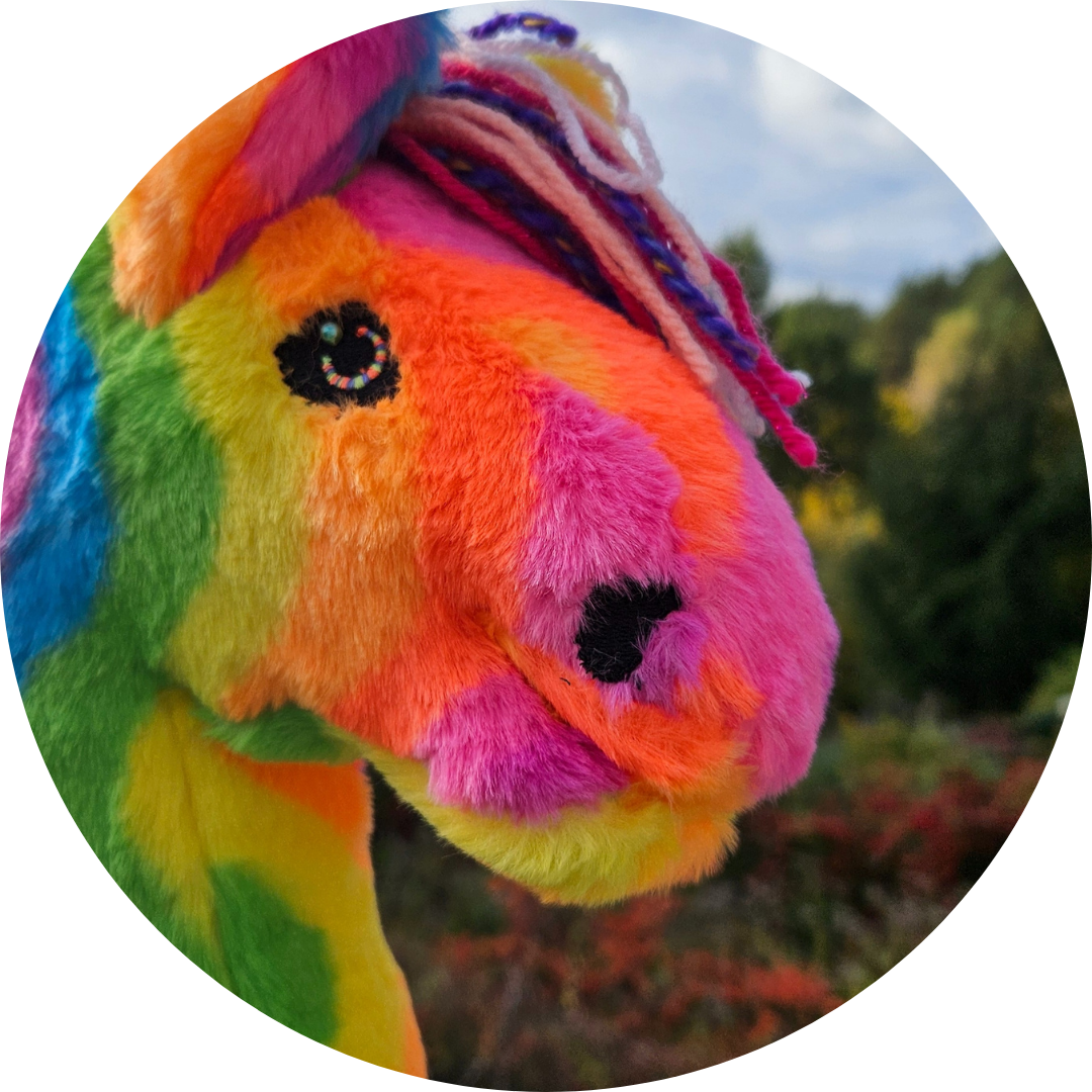 Hobby horse A4 Rainbow - obrazek 2