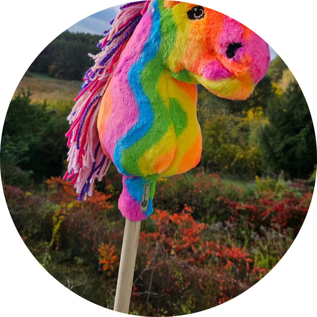 Hobby horse A4 Rainbow - obrazek 4