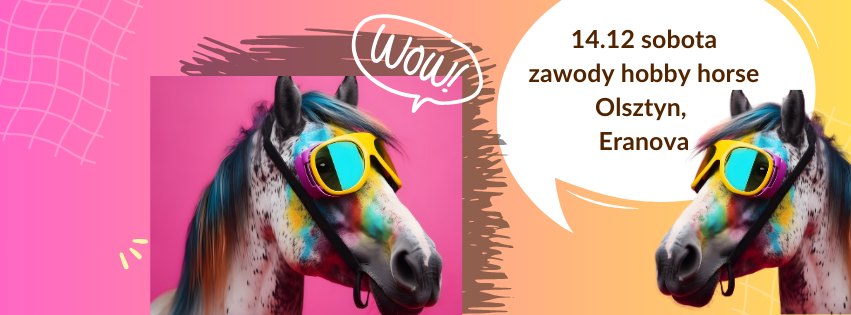 Baner na blog