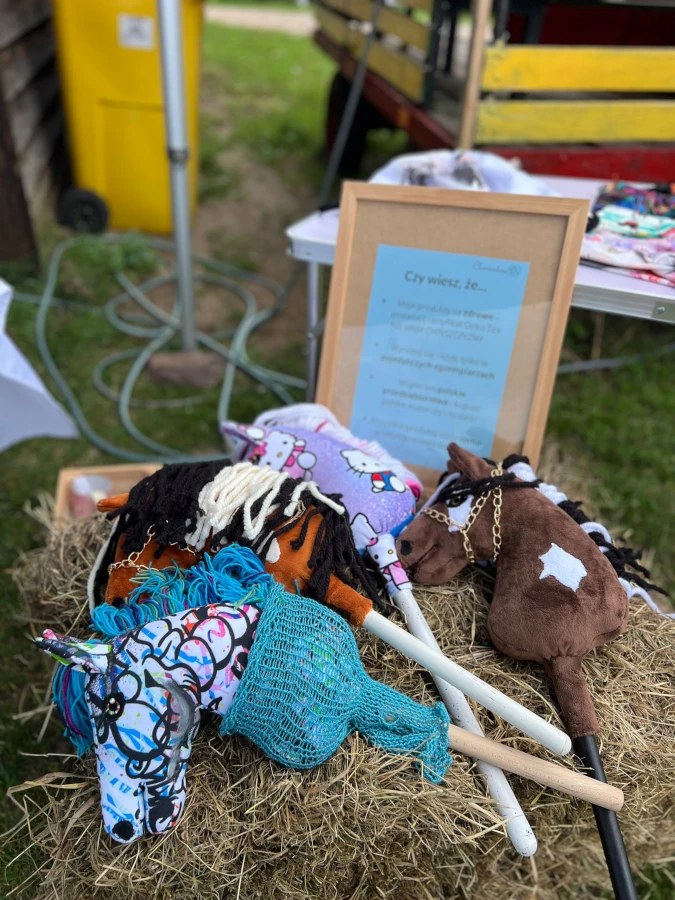 zawody hobby horse Olsztyn nagrody