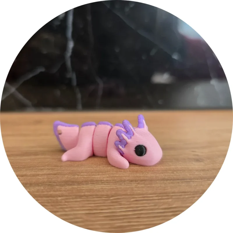 Aksolotl minis - przyjaciel hobby horse