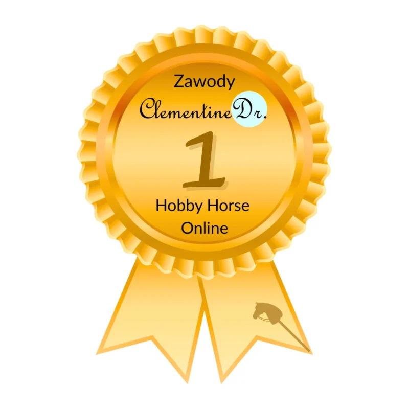 Medal z zawodów